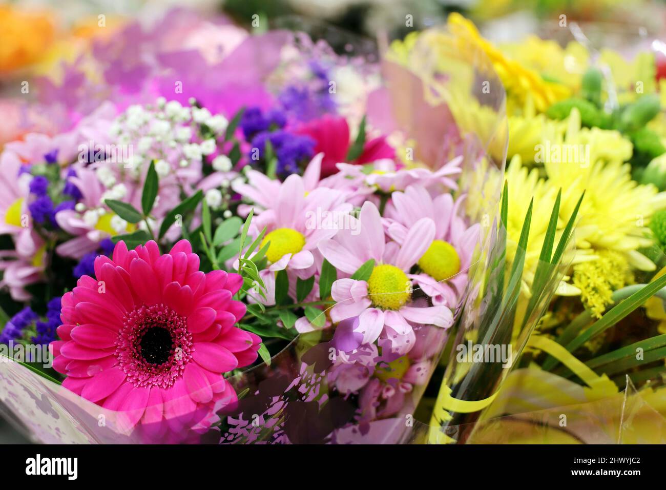 Bouquets of flowers in the shop, sale on March 8 Stock Photo