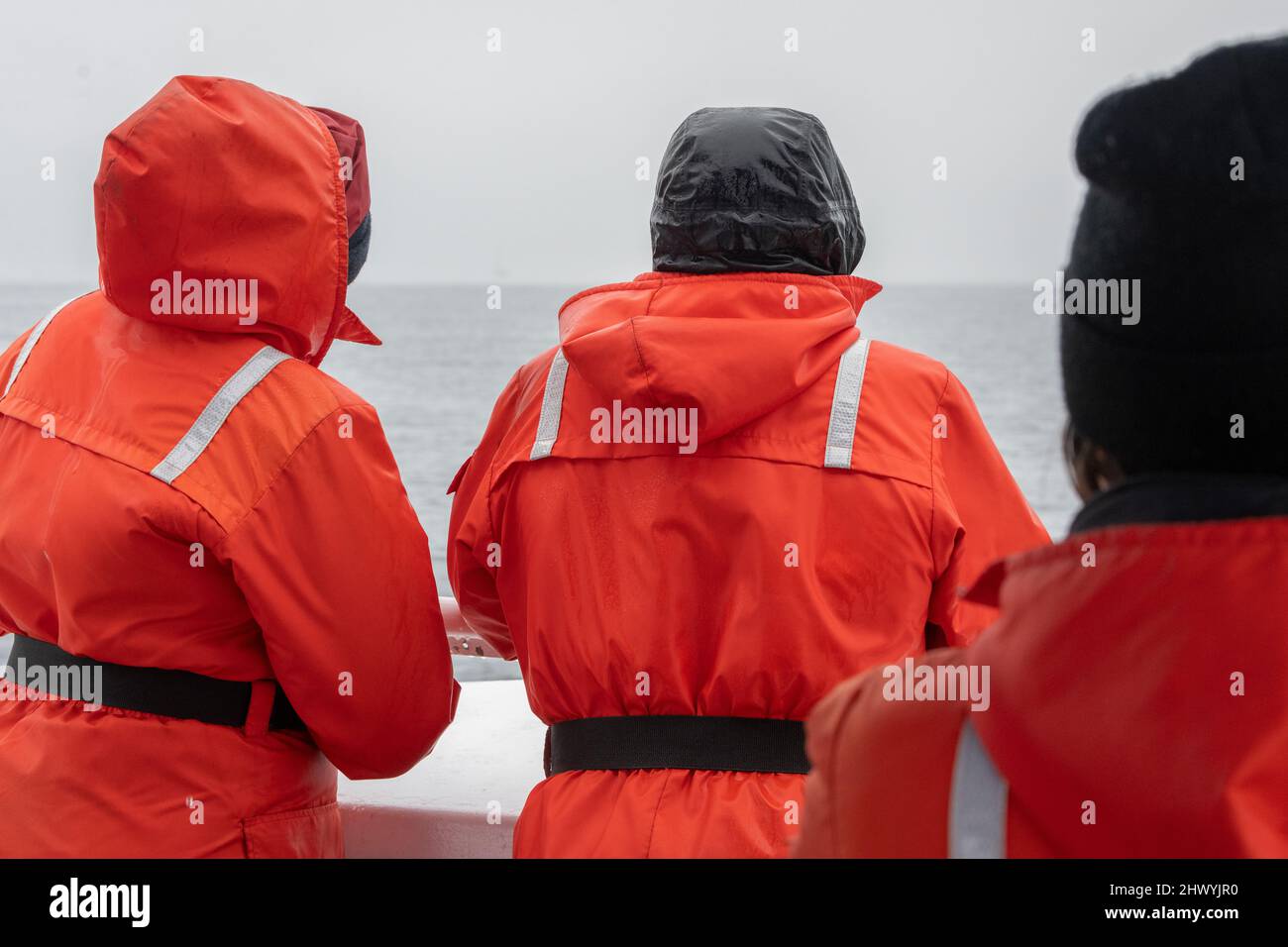 Rear view of whale watchers in orange full body life jackets sitting on a boat on Johnstone Strait, British Columbia, Vancouver Island, Canada Stock Photo