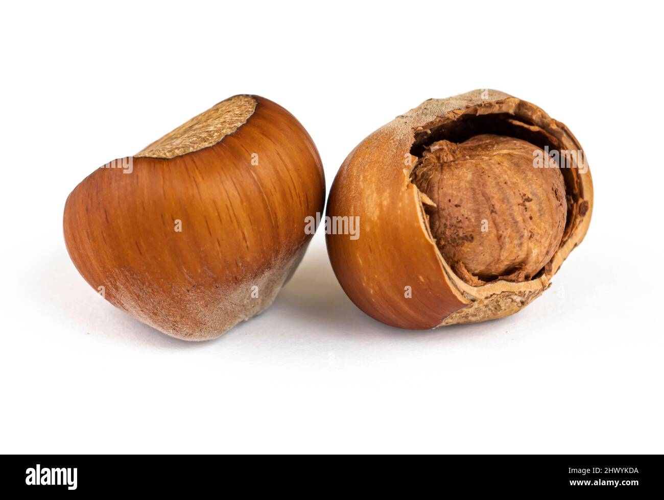 hazelnuts, hazelnuts whole and partially shelled, on a white background with a shadow Stock