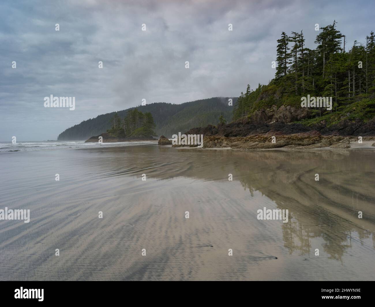 Shoreline in Cape Scott Provincial Park, San Josef Bay, Vancouver Island, British Columbia, Canada Stock Photo
