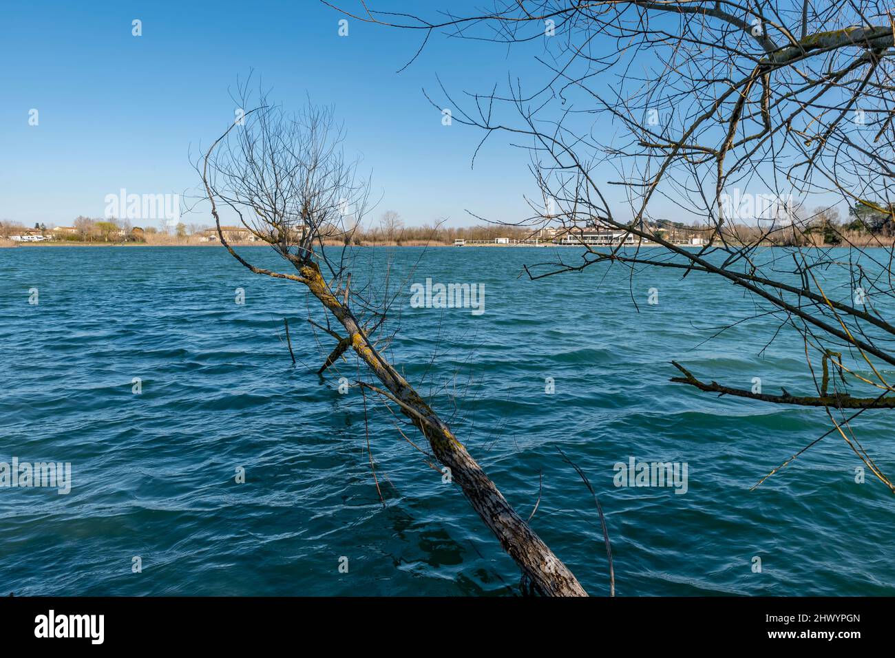 A glimpse of the Braccini lakes of Pontedera, Pisa, Italy Stock Photo