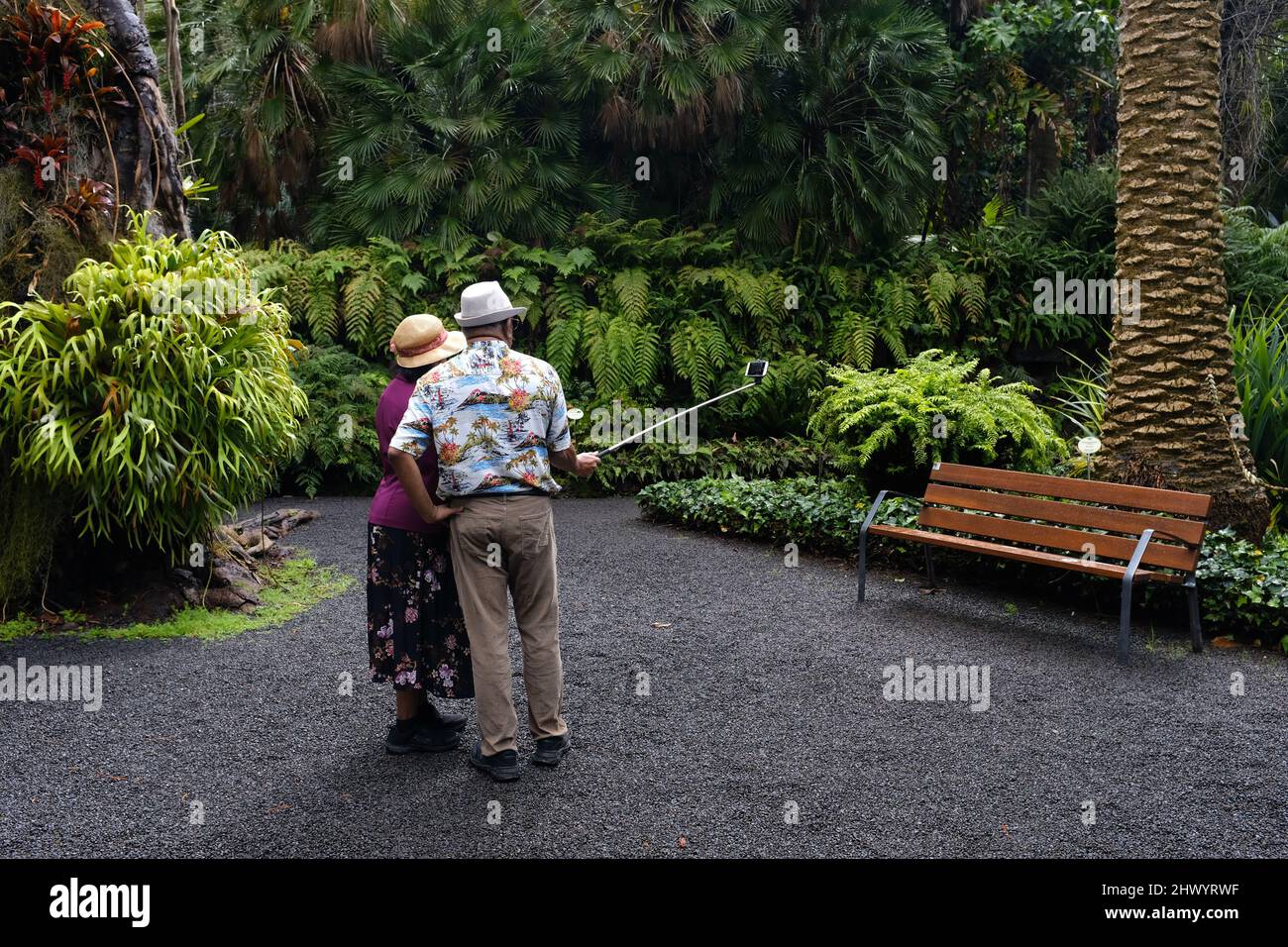 Two elderly people taking a selfie in the botanical gardens of  Puerto de la Cruz, Tenerife. Stock Photo