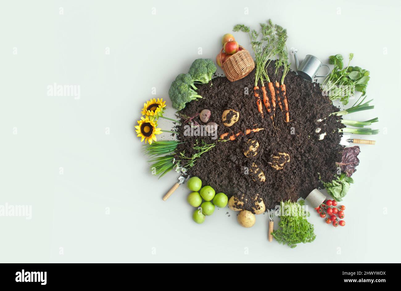 Organic fruits and vegetables growing in eco compost circle including