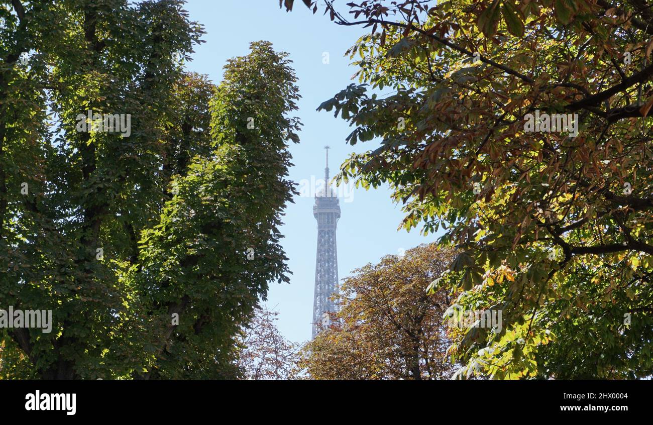 The Eiffel tower in autumn (Paris) Stock Photo