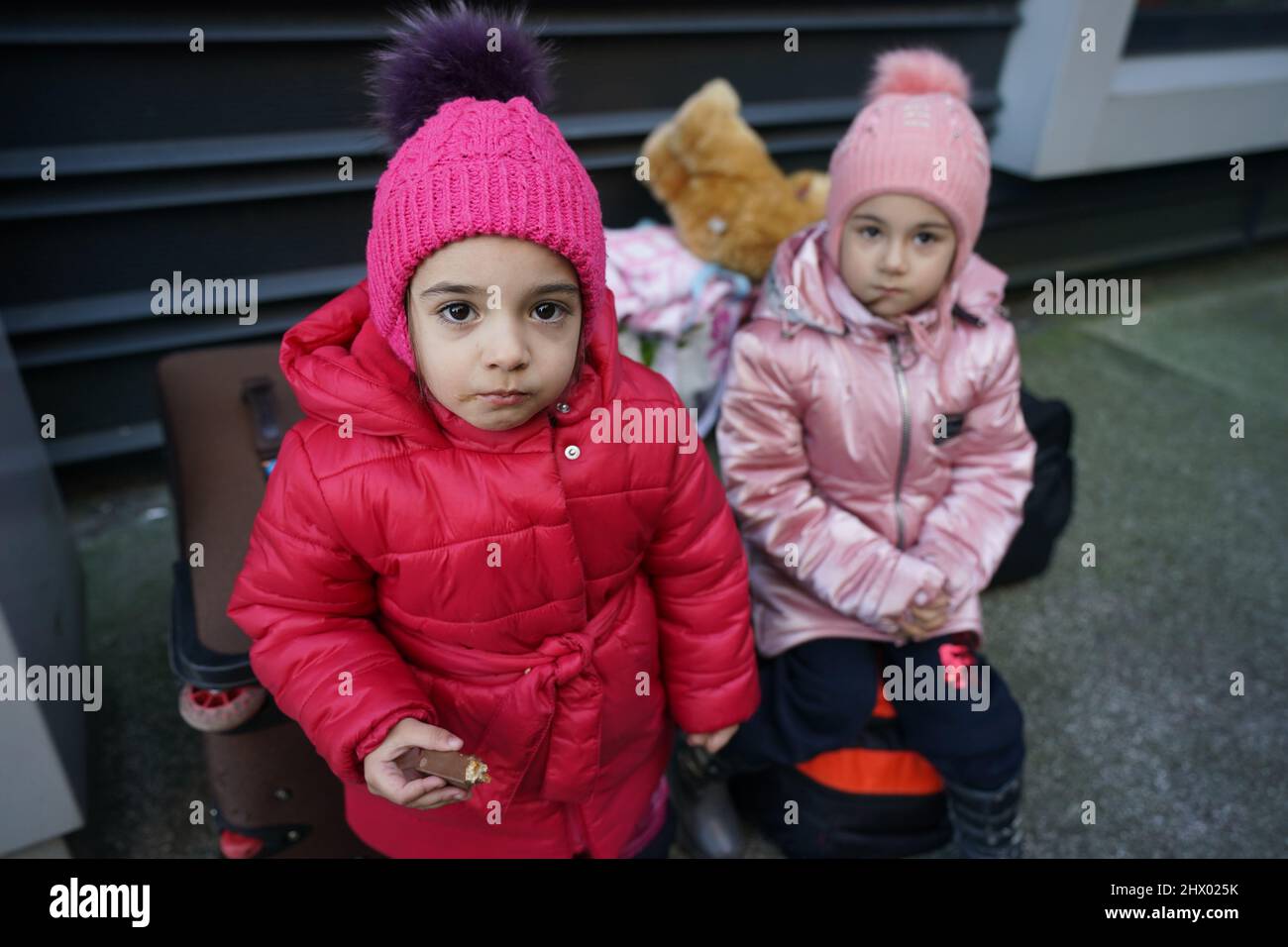 Jo A Friel\, image size:1300x956