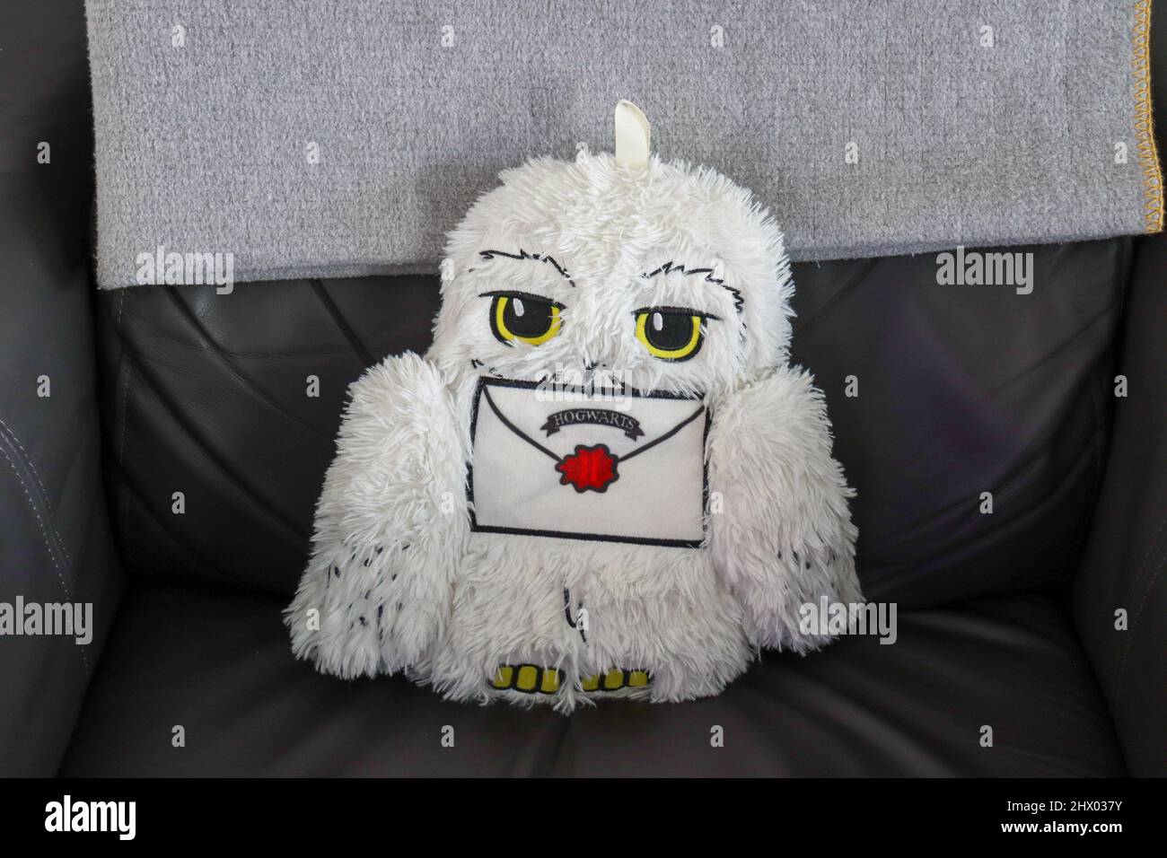 Hedwig harry potter hires stock photography and images Alamy