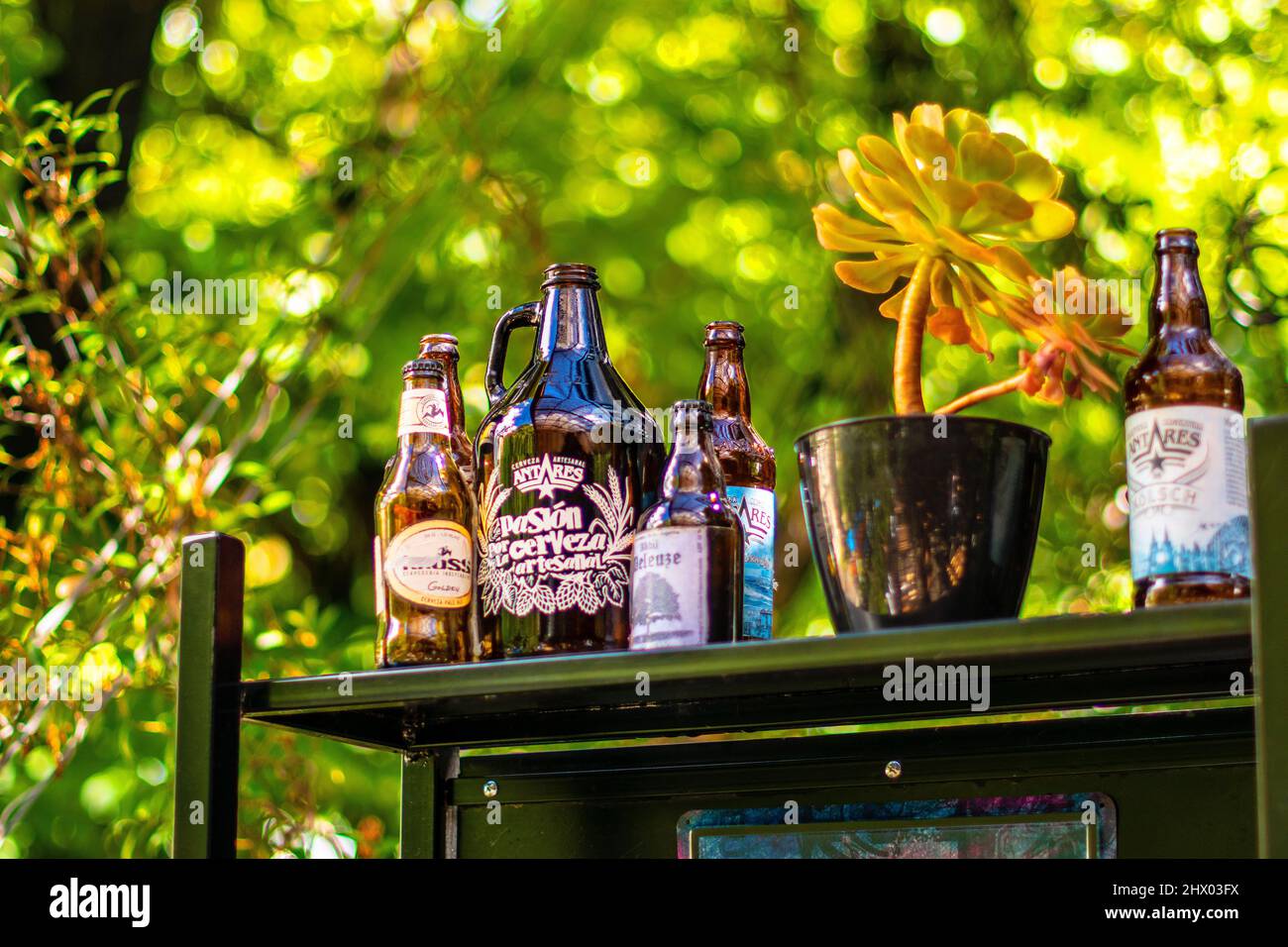 Craft beer bottles on a bar counter Stock Photo