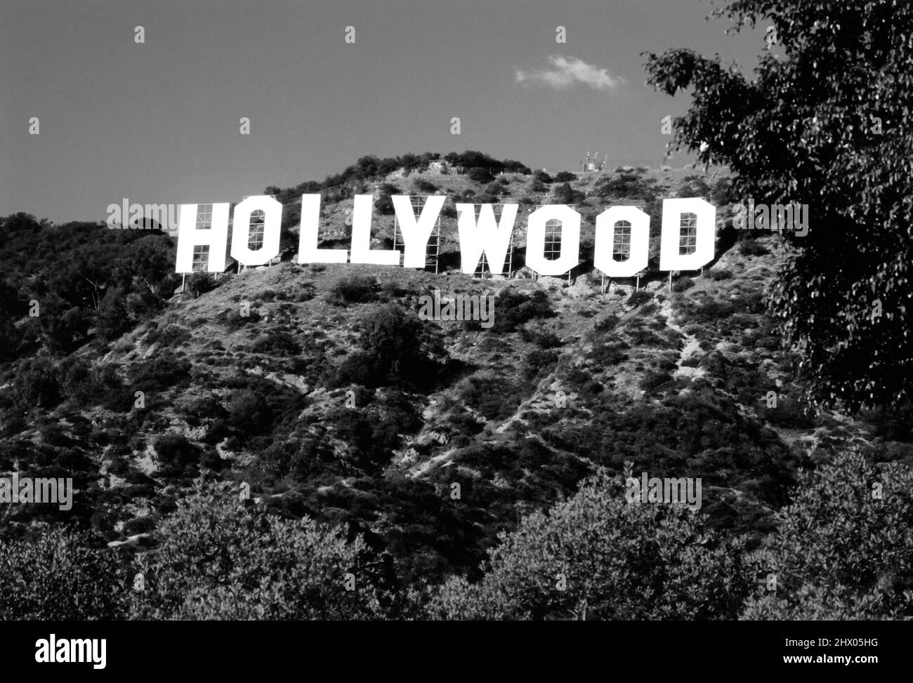 The iconic Hollywood Sign in Los Angeles, CA Stock Photo