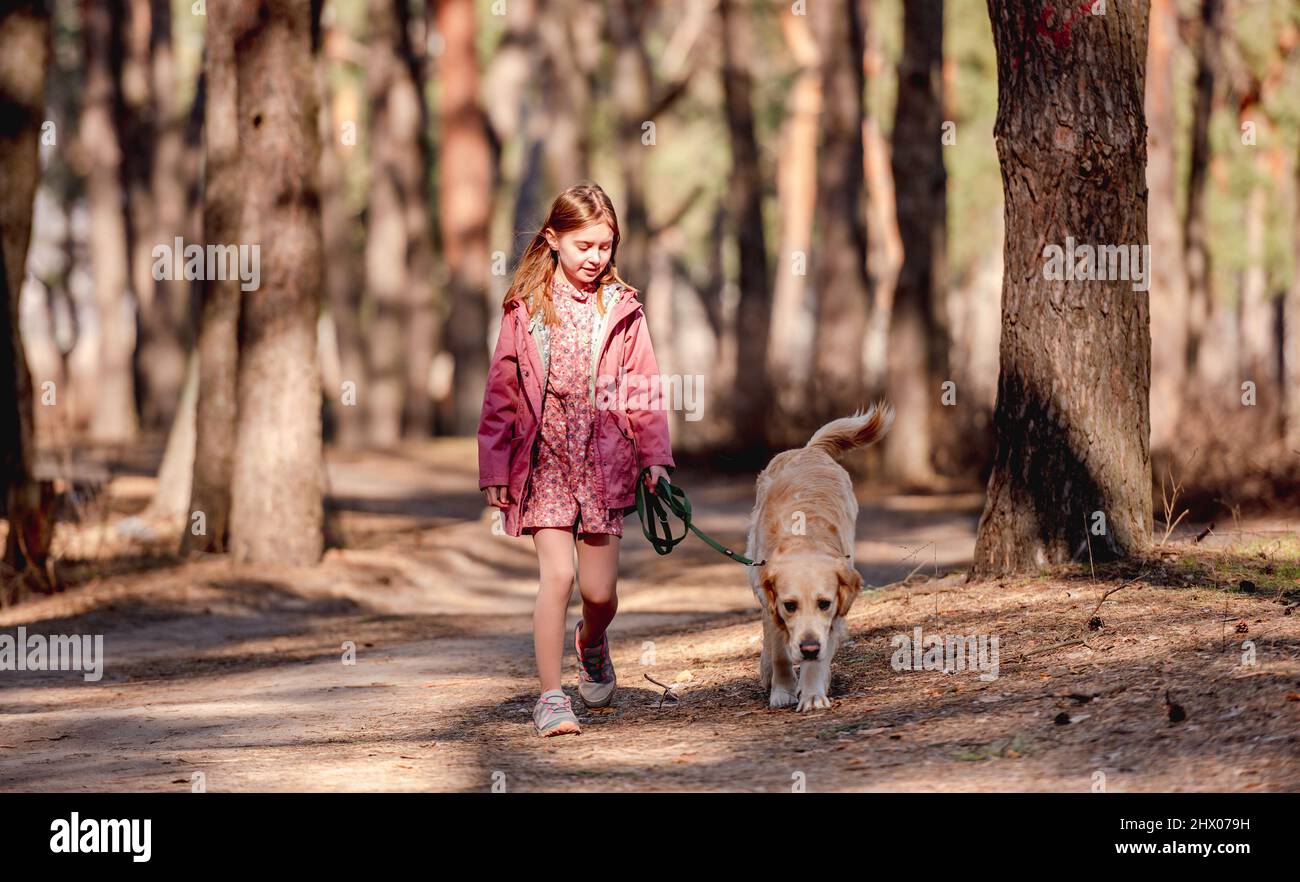 Little girl with golden retriever dog in the wood Stock Photo - Alamy