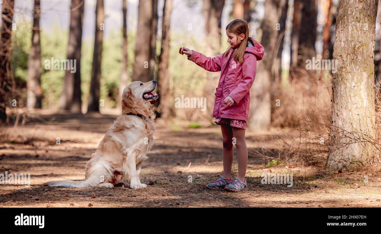 Little girl with golden retriever dog in the wood Stock Photo - Alamy