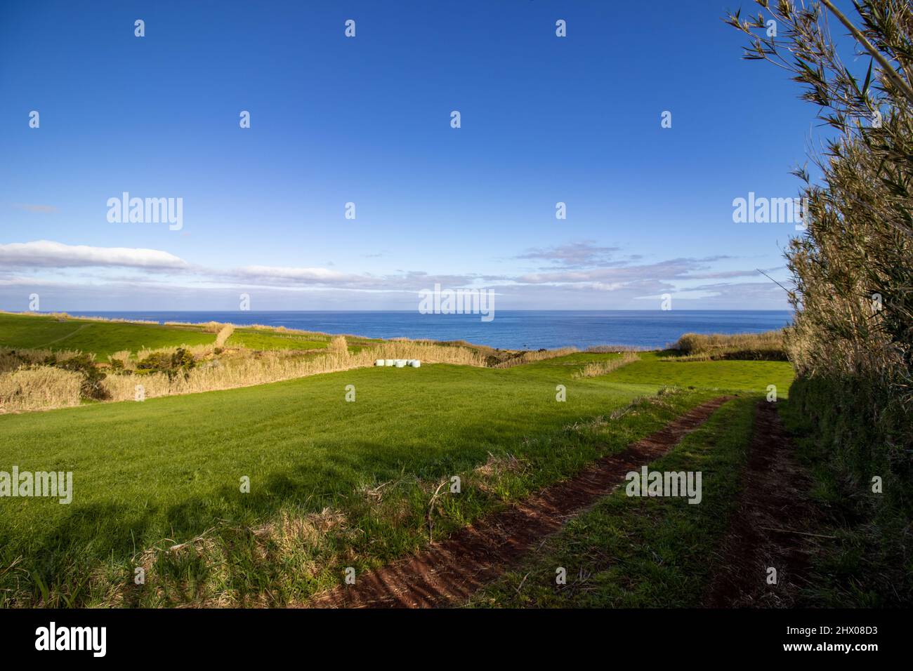 Photography of hiking trail in nature, green landscapes, at Azores ...
