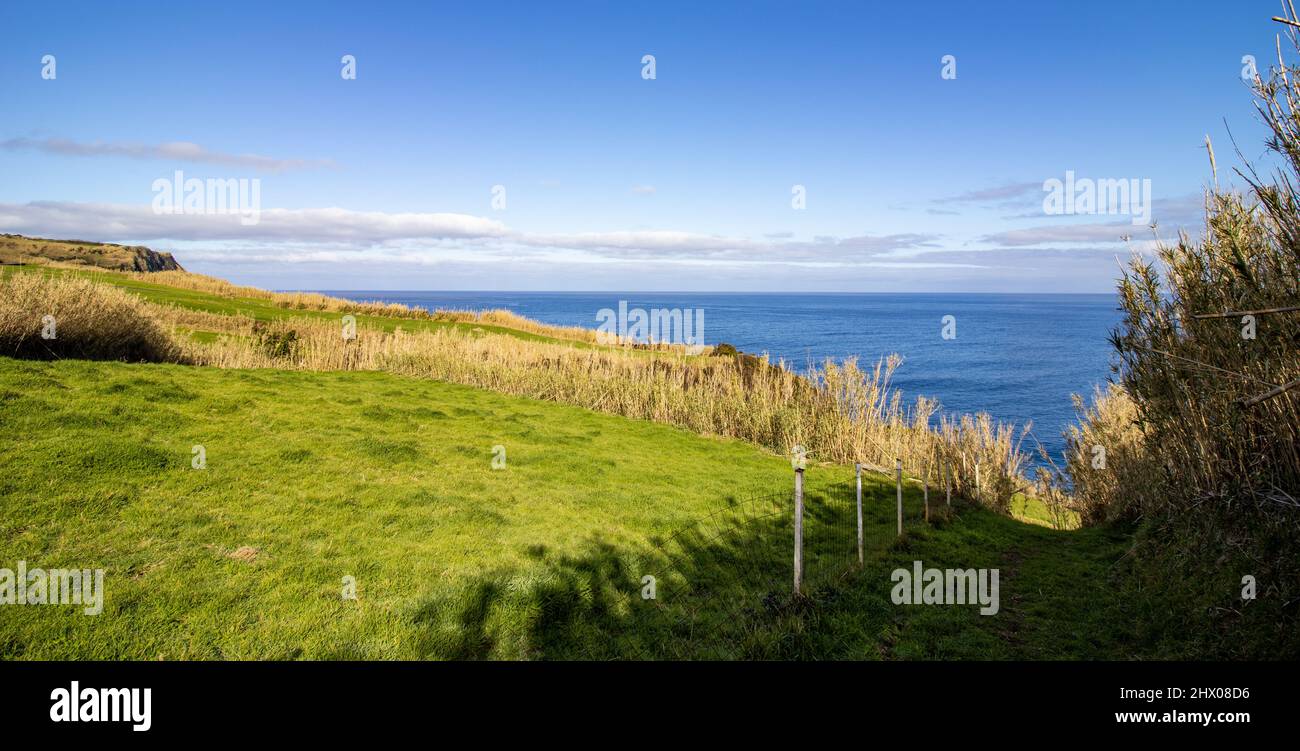 Photography of hiking trail in nature, green landscapes, at Azores ...