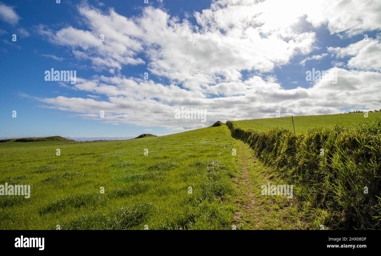 Photography of hiking trail in nature, green landscapes, at Azores ...