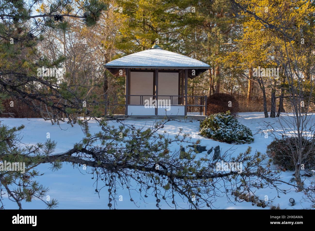 A Japanese tea house at the Montreal's botanical garden. Taken on a sunny winter day Stock Photo