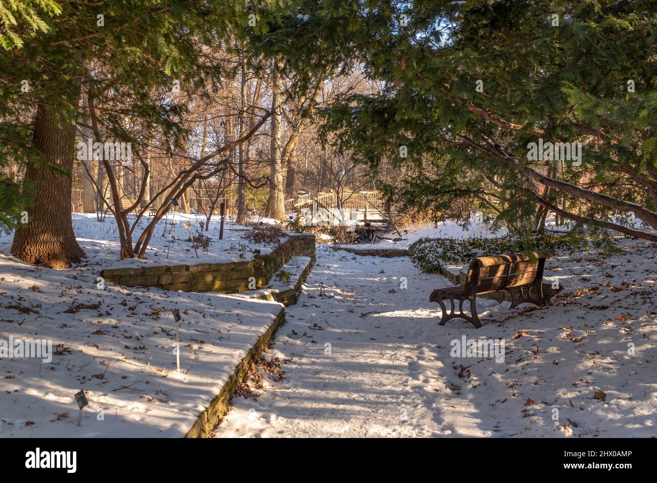 A bench covered with snow in the Montreal's botanical garden, taken on a sunny winter day Stock Photo