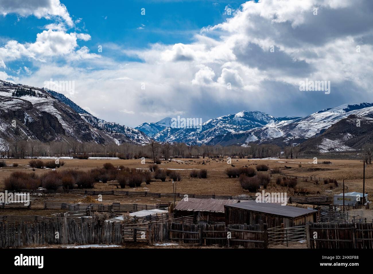 East Fork of the Salmon River area Stock Photo Alamy