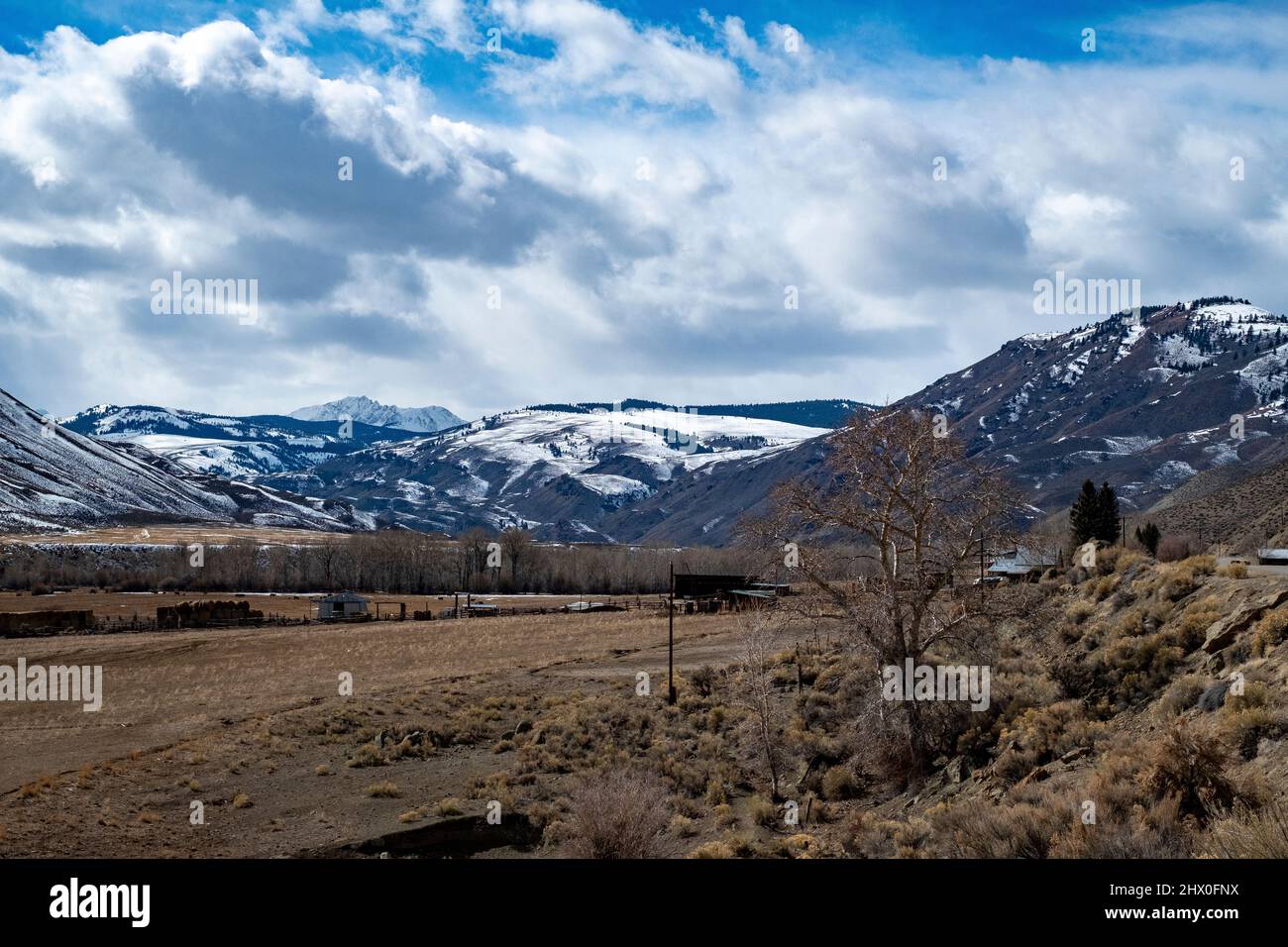 East Fork of the Salmon River area Stock Photo Alamy