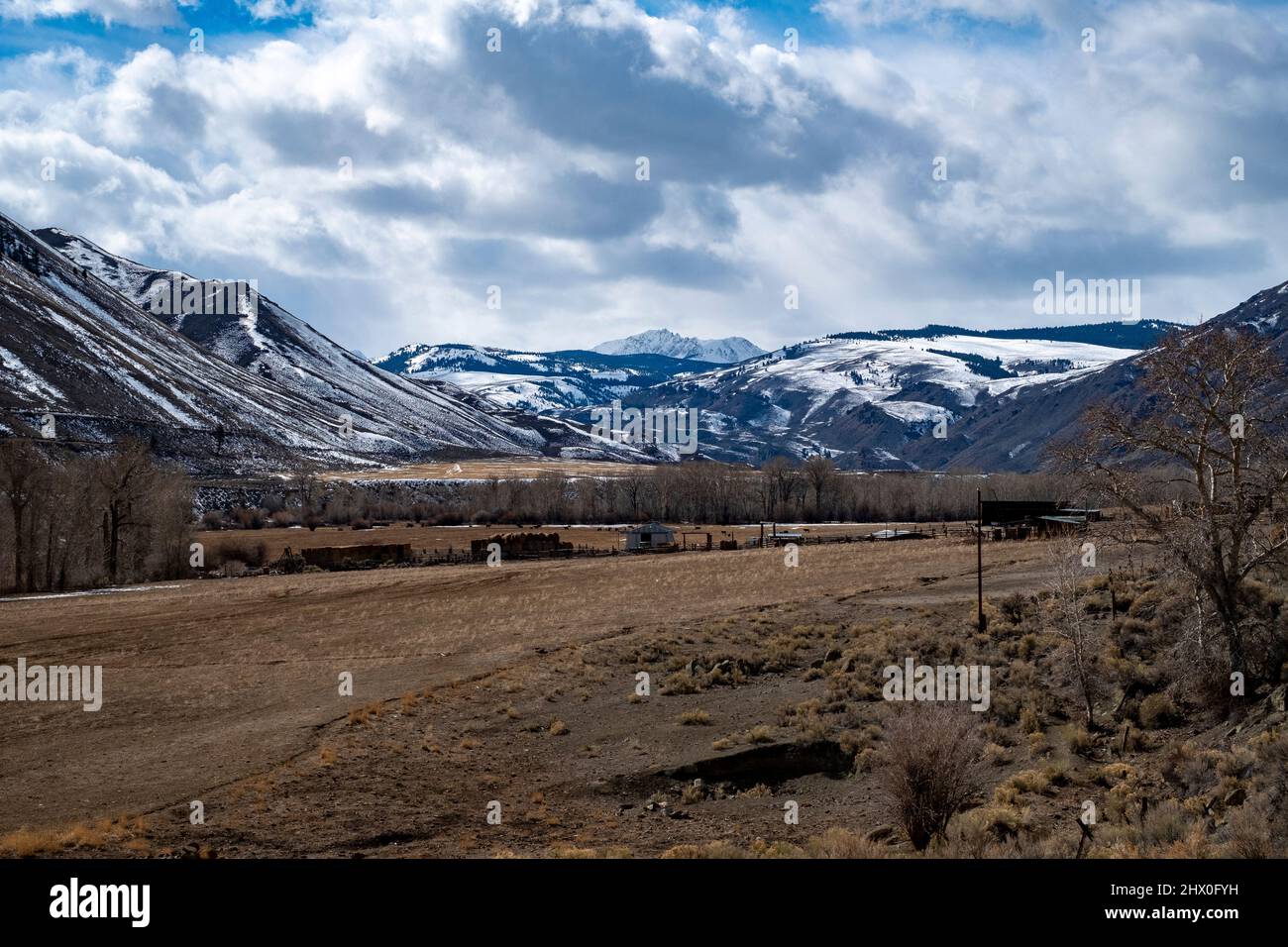 East Fork of the Salmon River area Stock Photo Alamy