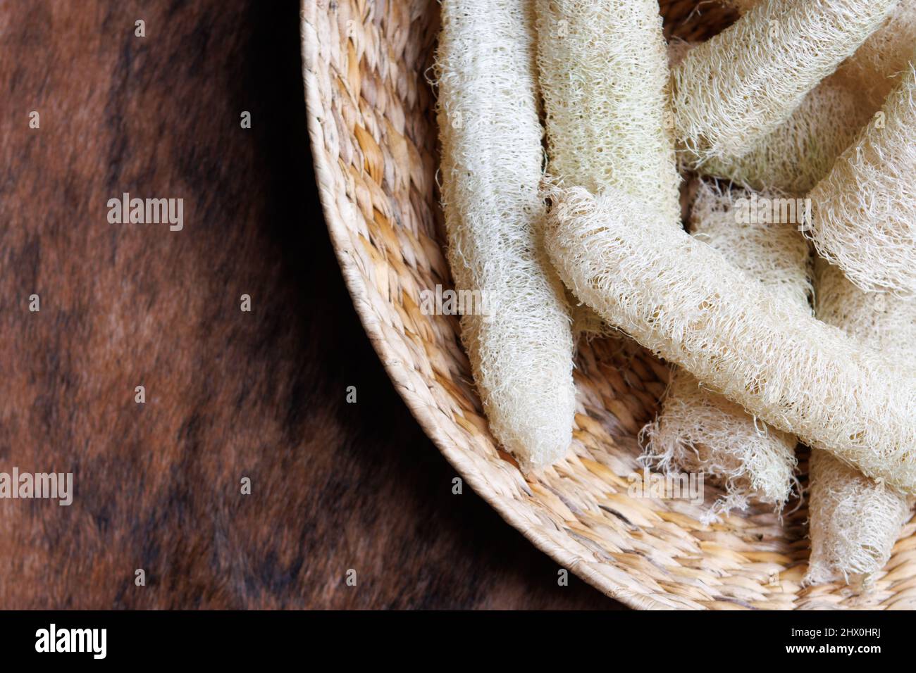 Natural homegrown luffa in a basket Stock Photo