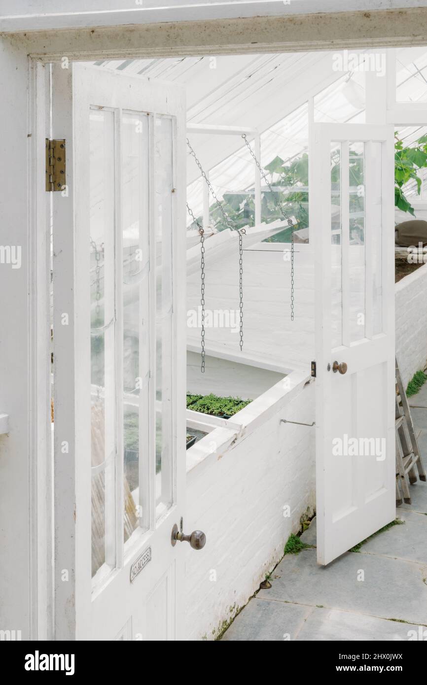 Airy greenhouse, Lost Gardens of Heligan, Cornwall, England, UK Stock Photo