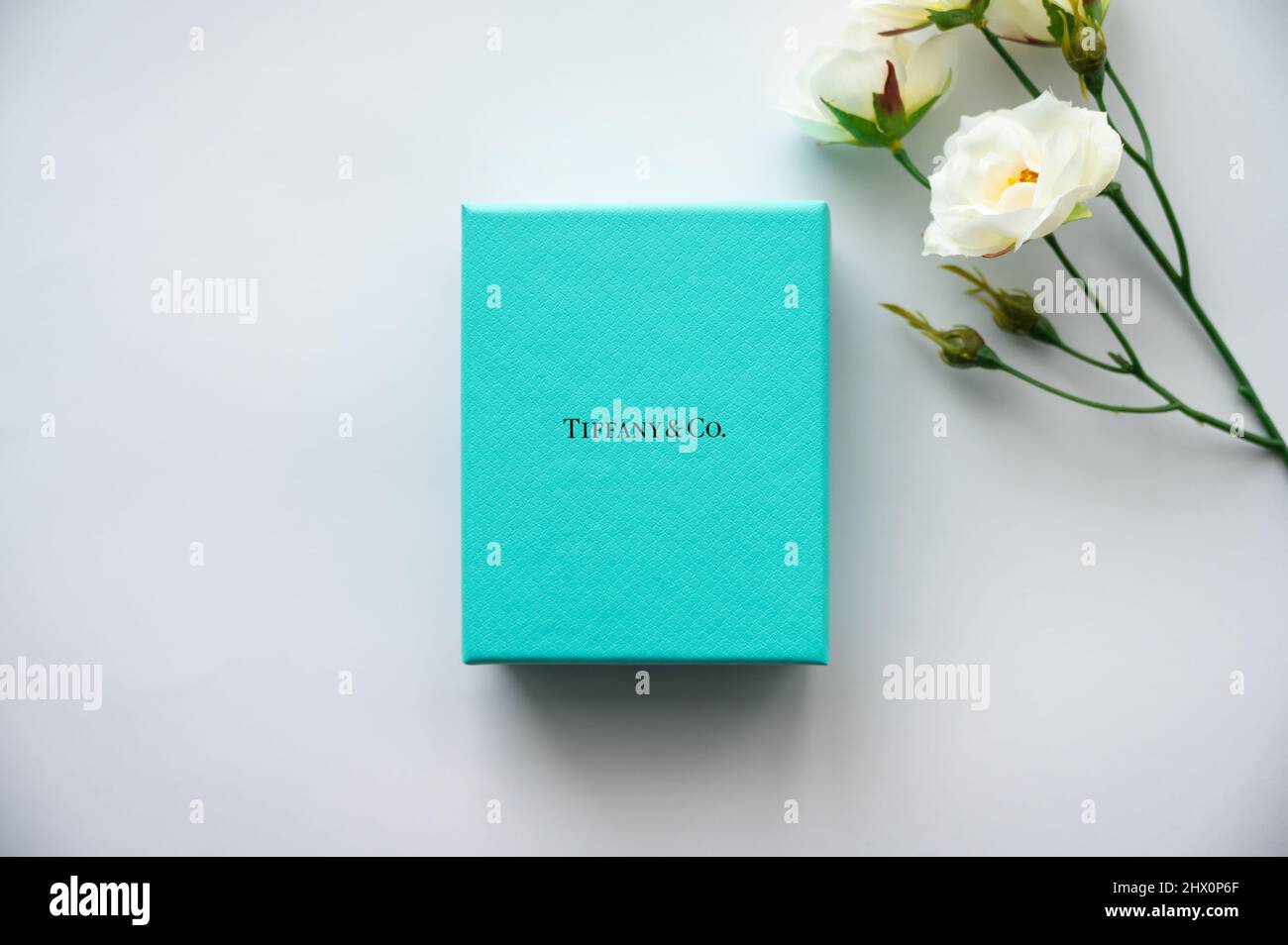 Calgary, Alberta - March  8,, 2022: Tiffany & Co. gift box on white background. Stock Photo