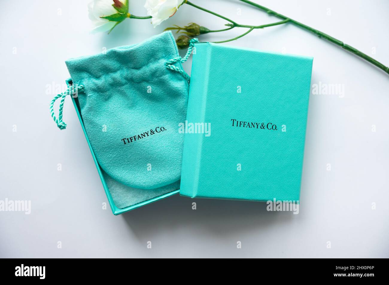Calgary, Alberta - March  8,, 2022: Tiffany & Co. gift box on white background. Stock Photo