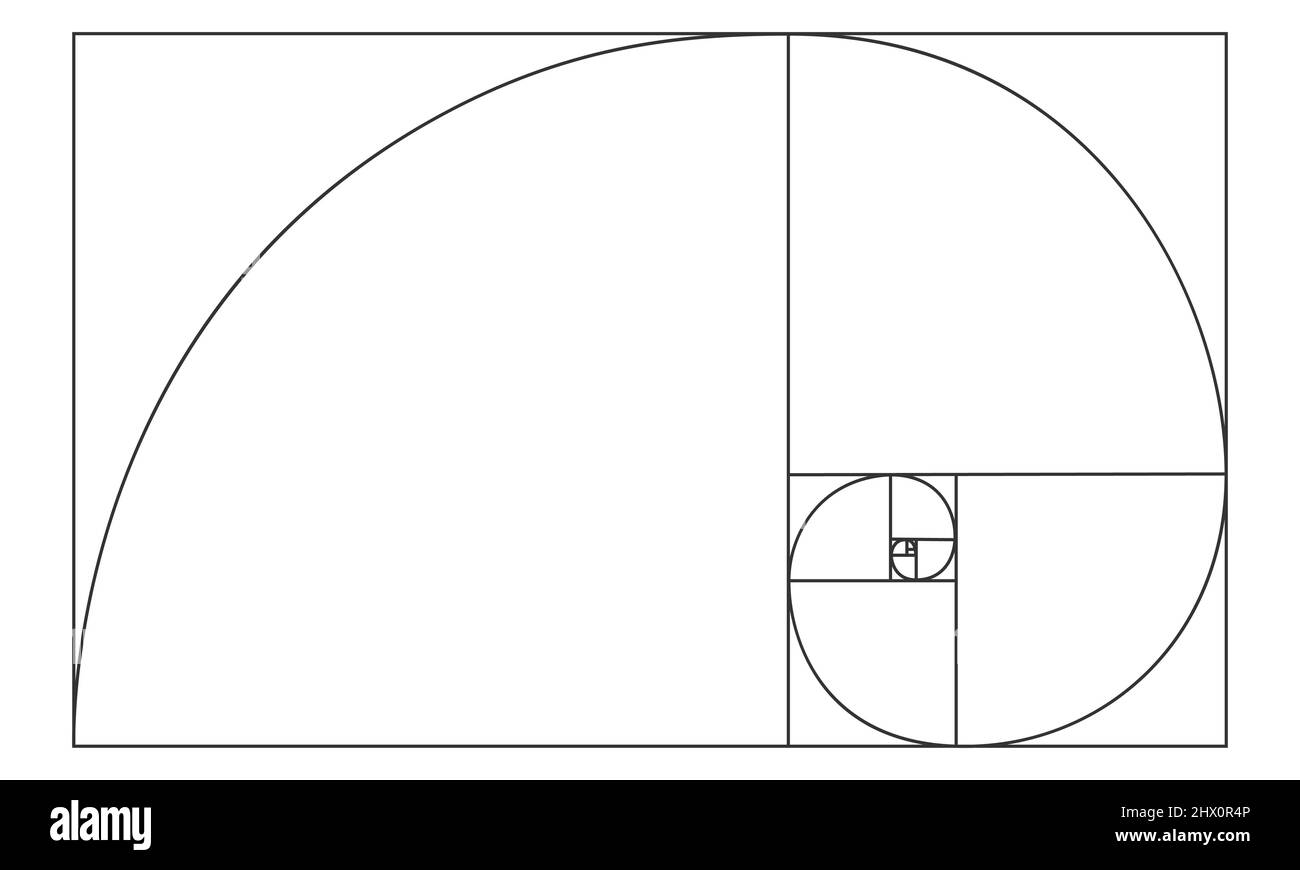 Golden ratio sign. Logarithmic spiral in rectangle. Nautilus shell shape. Leonardo Fibonacci Sequence. Ideal nature symmetry proportions template. Mathematics symbol. Vector outline illustration. Stock Vector