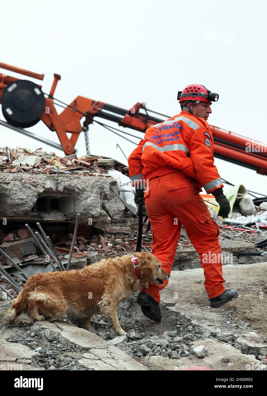 VAN, TURKEY OCTOBER 25 Rescuer and rescue dog is searching for the