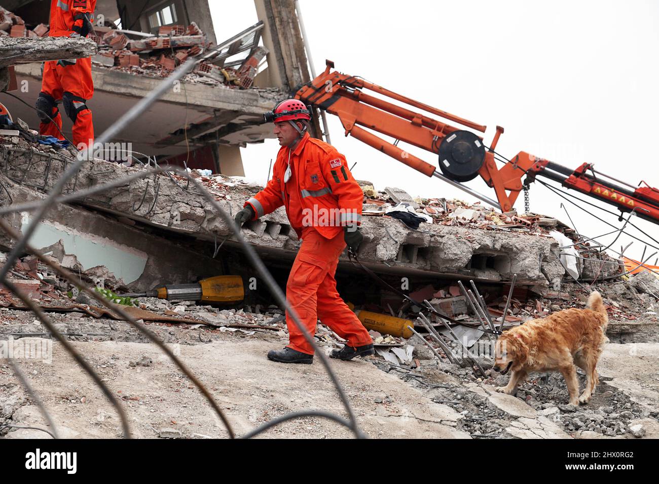 VAN, TURKEY OCTOBER 25 Rescuer and rescue dog is searching for the