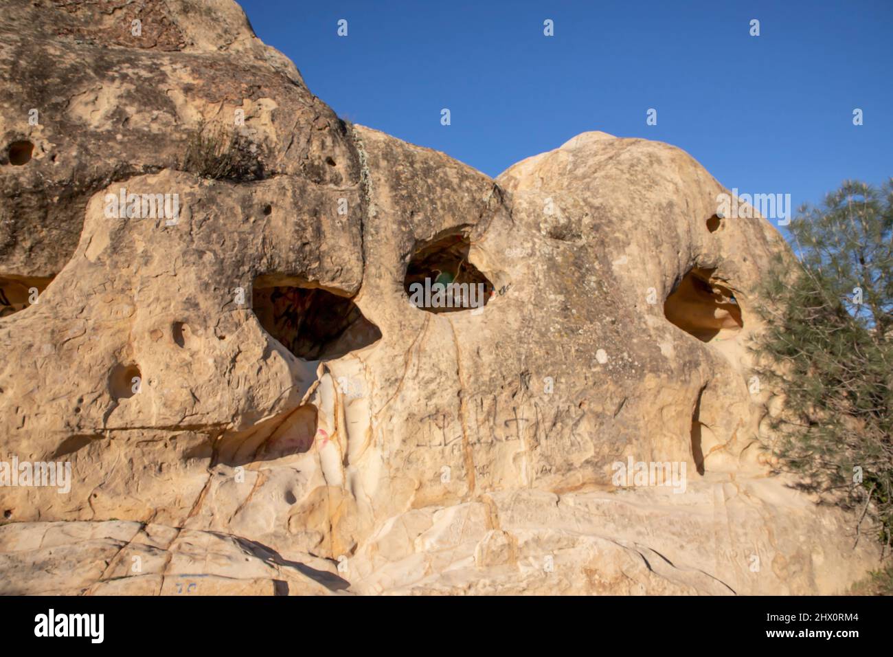 Are Dogs Allowed At Rock City Mt Diablo