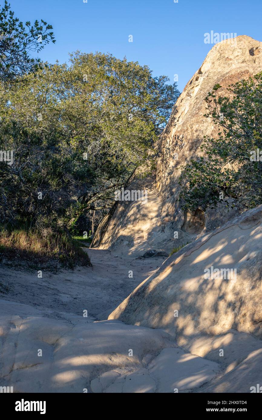 Are Dogs Allowed At Rock City Mt Diablo