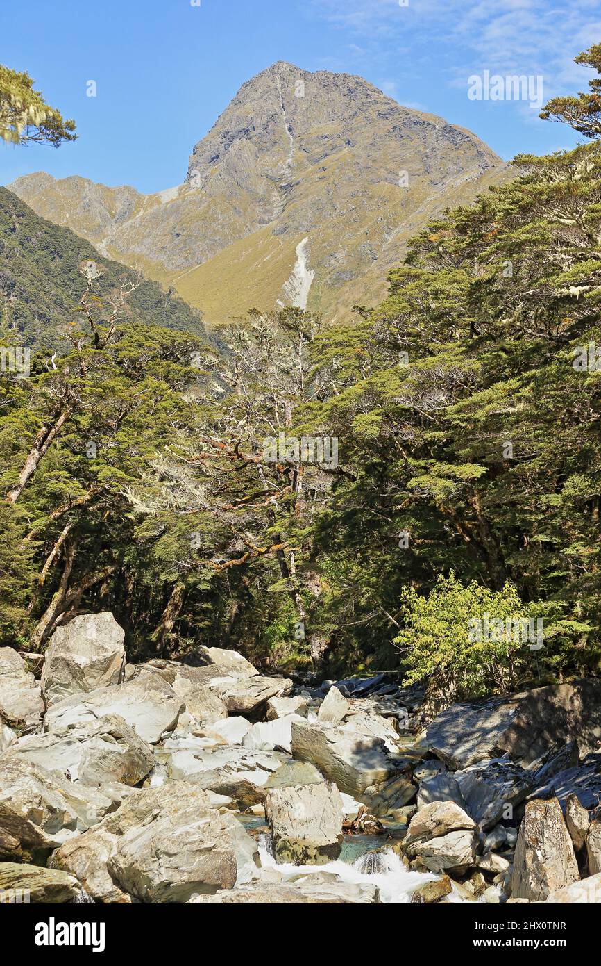 Routeburn Track Mount Aspiring National Park New Zealand Stock Photo