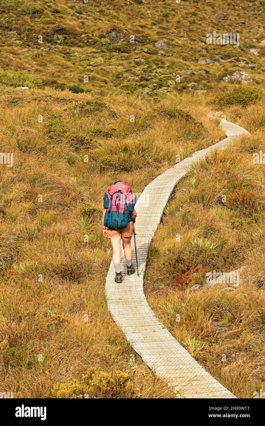 Routeburn Track Mount Aspiring National Park New Zealand Stock Photo