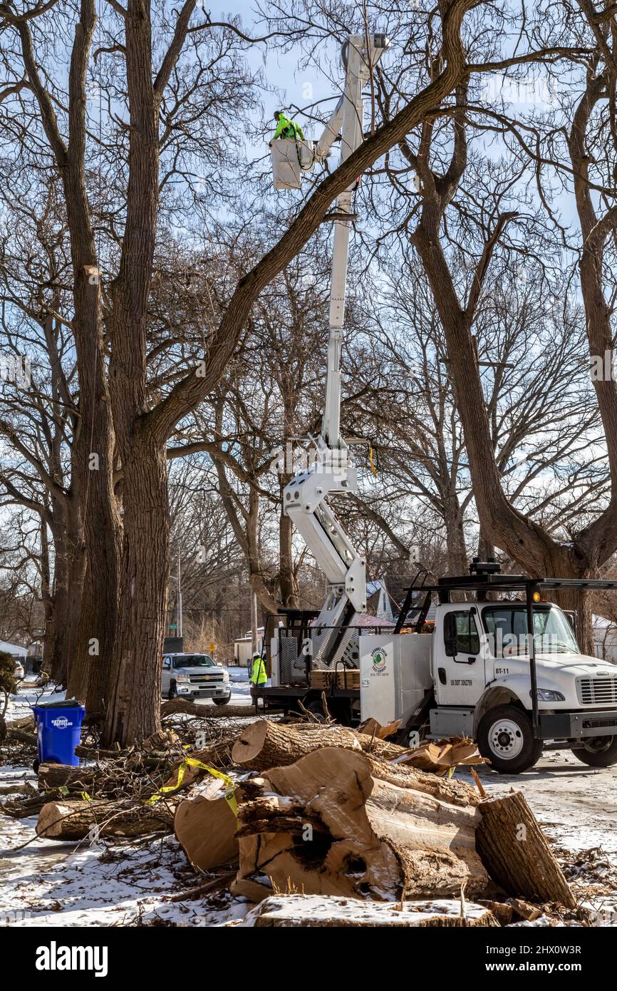 Detroit, Michigan - Workers for Detroit Grounds Crew remove unwanted and diseased trees in a Detroit neighborhood. Stock Photo