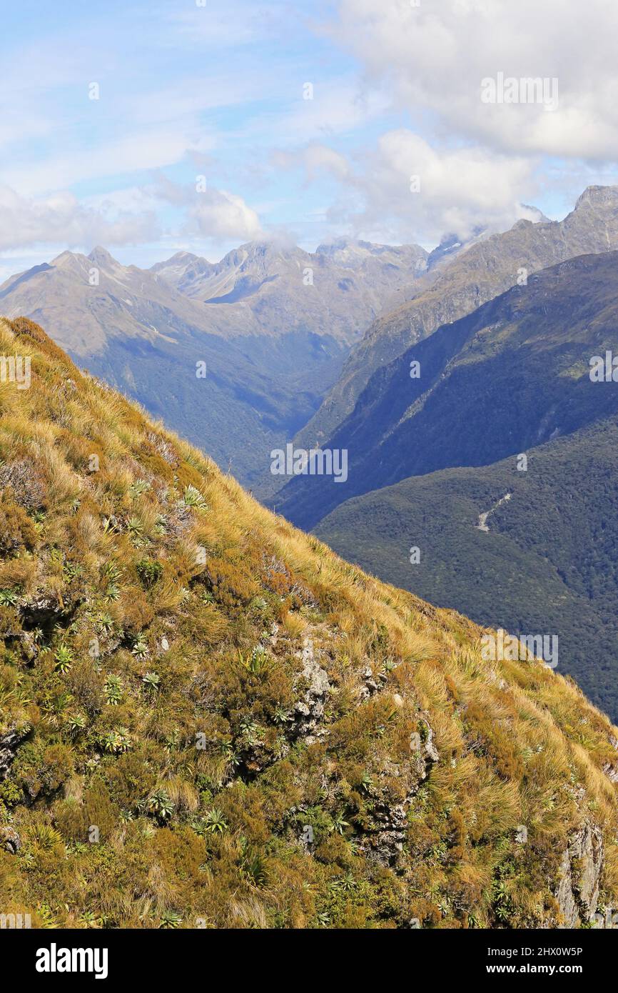 Routeburn Track Fiordland New Zealand Stock Photo Alamy