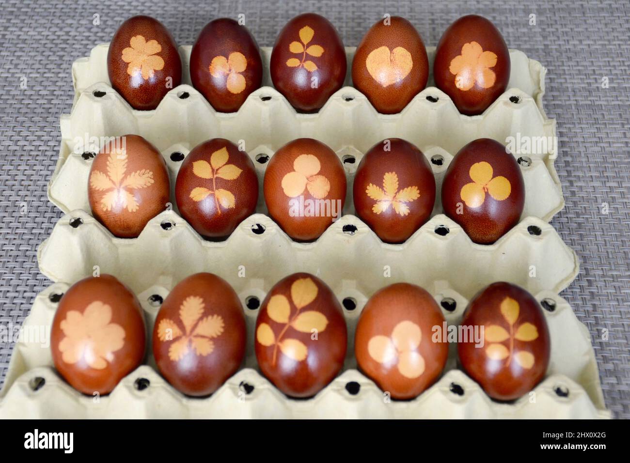 Easter eggs dyed with onion skins Stock Photo
