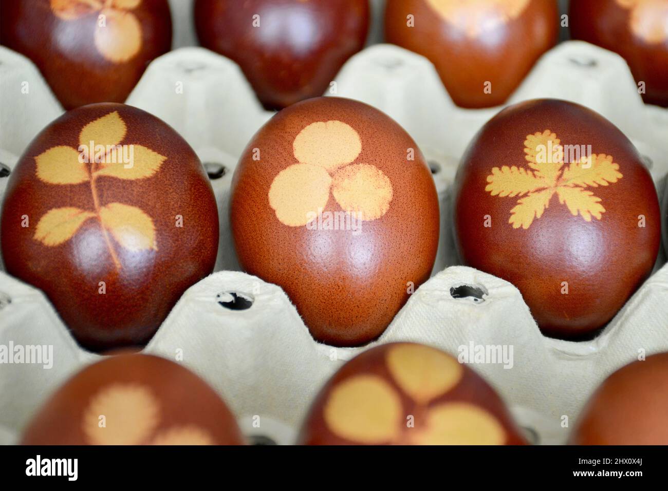 Easter eggs naturally dyed with onion skins Stock Photo Alamy