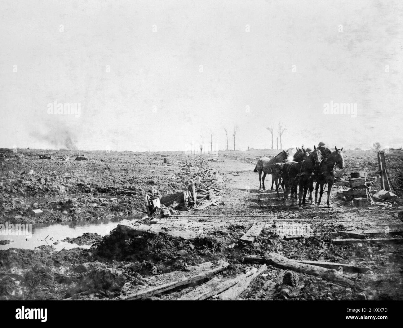 A group of horses are led down a muddy road near Zillebeke during the Battle of Passchendaele,  22 August, 1917. Stock Photo