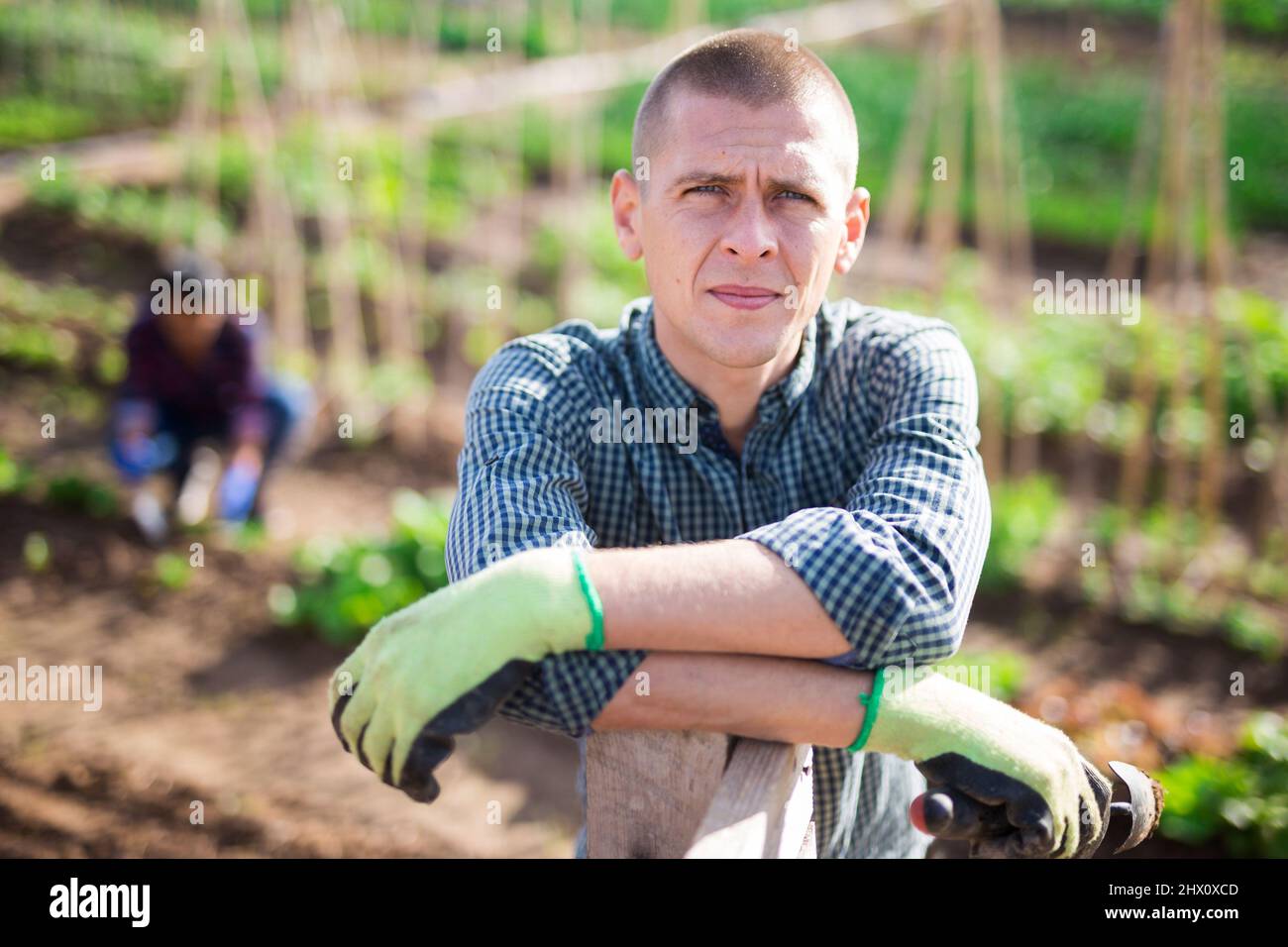 European man working with shovel in vegetables garden Stock Photo - Alamy