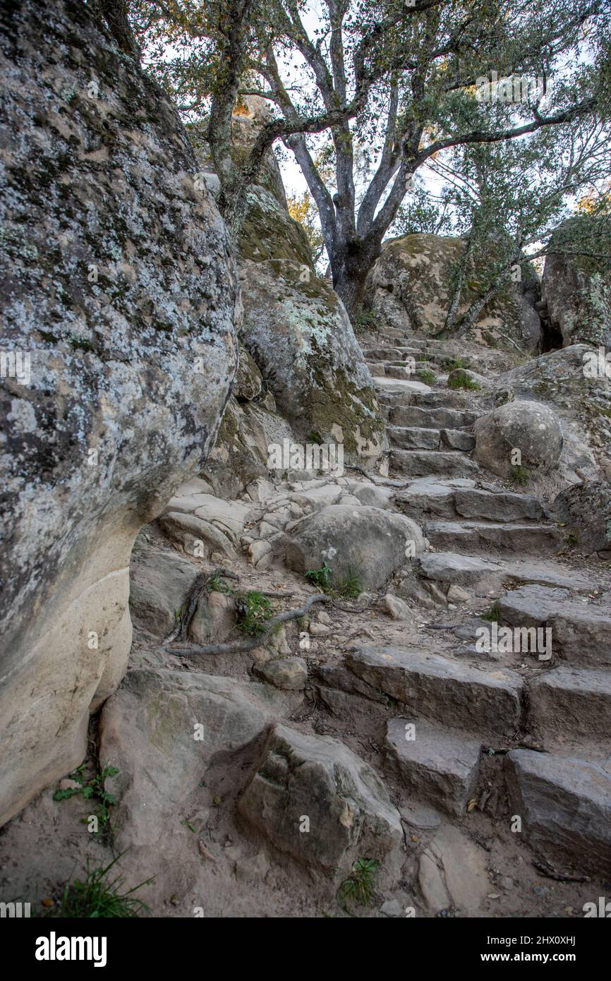 Are Dogs Allowed At Rock City Mt Diablo