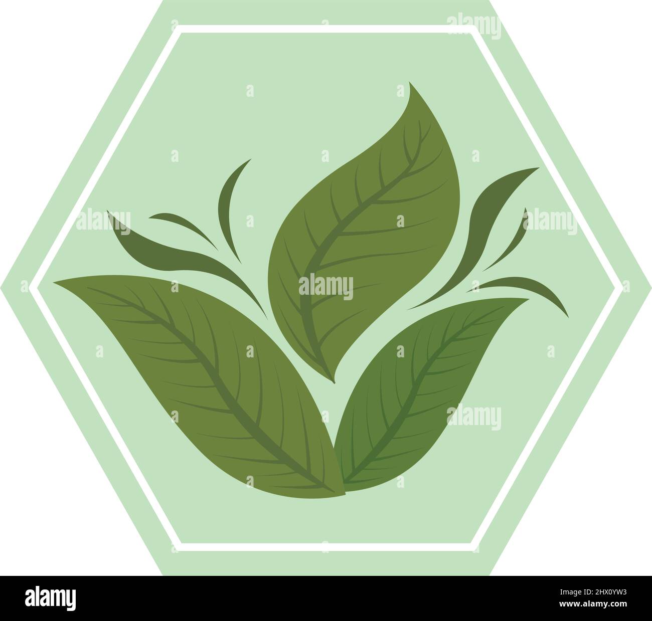 leaf nature organic Stock Vector Image & Art - Alamy