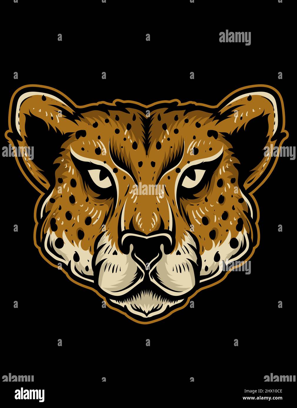 illustration vector isolated cheetah head Stock Vector Image & Art Alamy