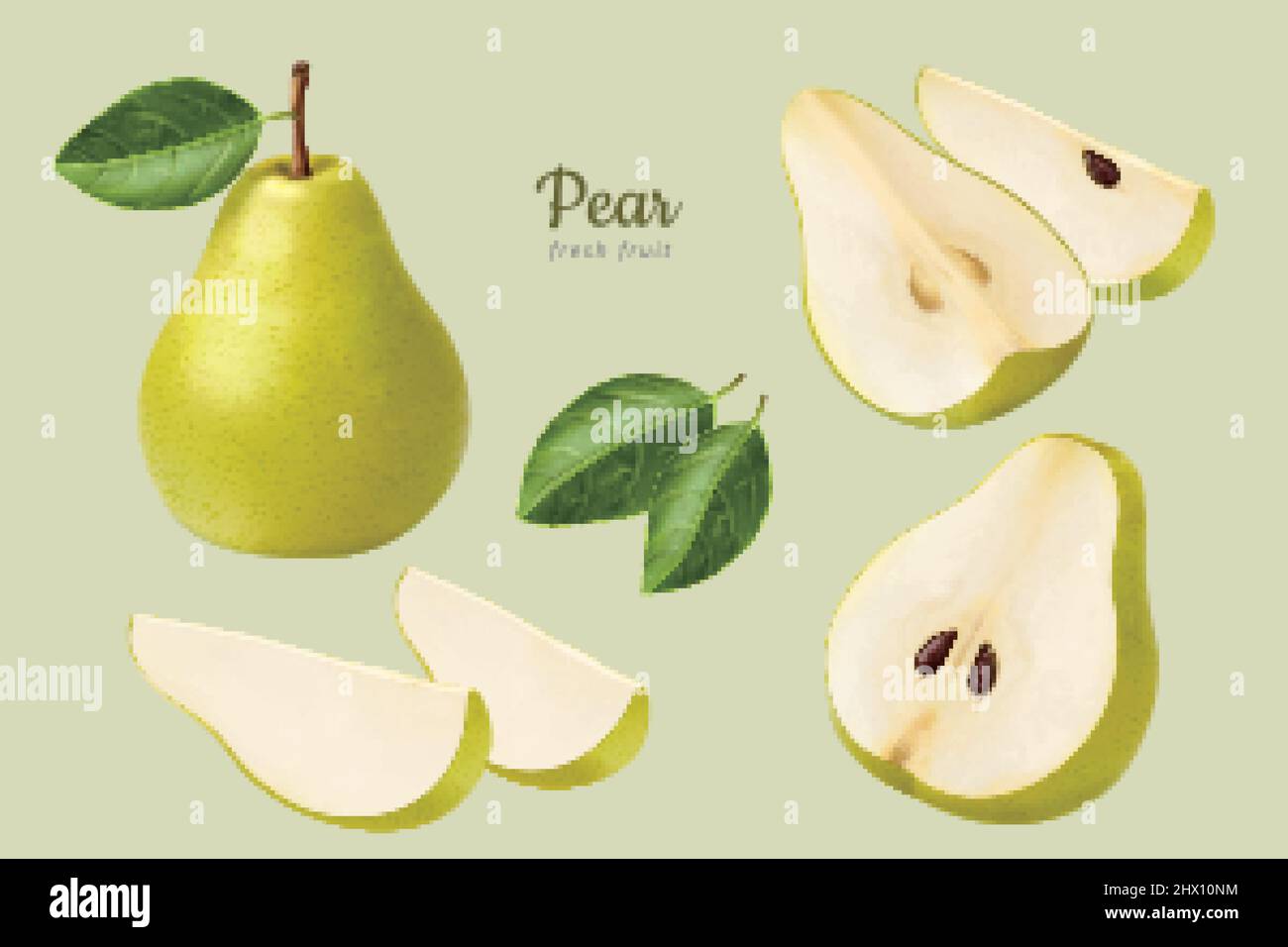 Green European pear set. 3d illustration of fresh pears in halves and wedges with its leaves isolated on light green background Stock Vector