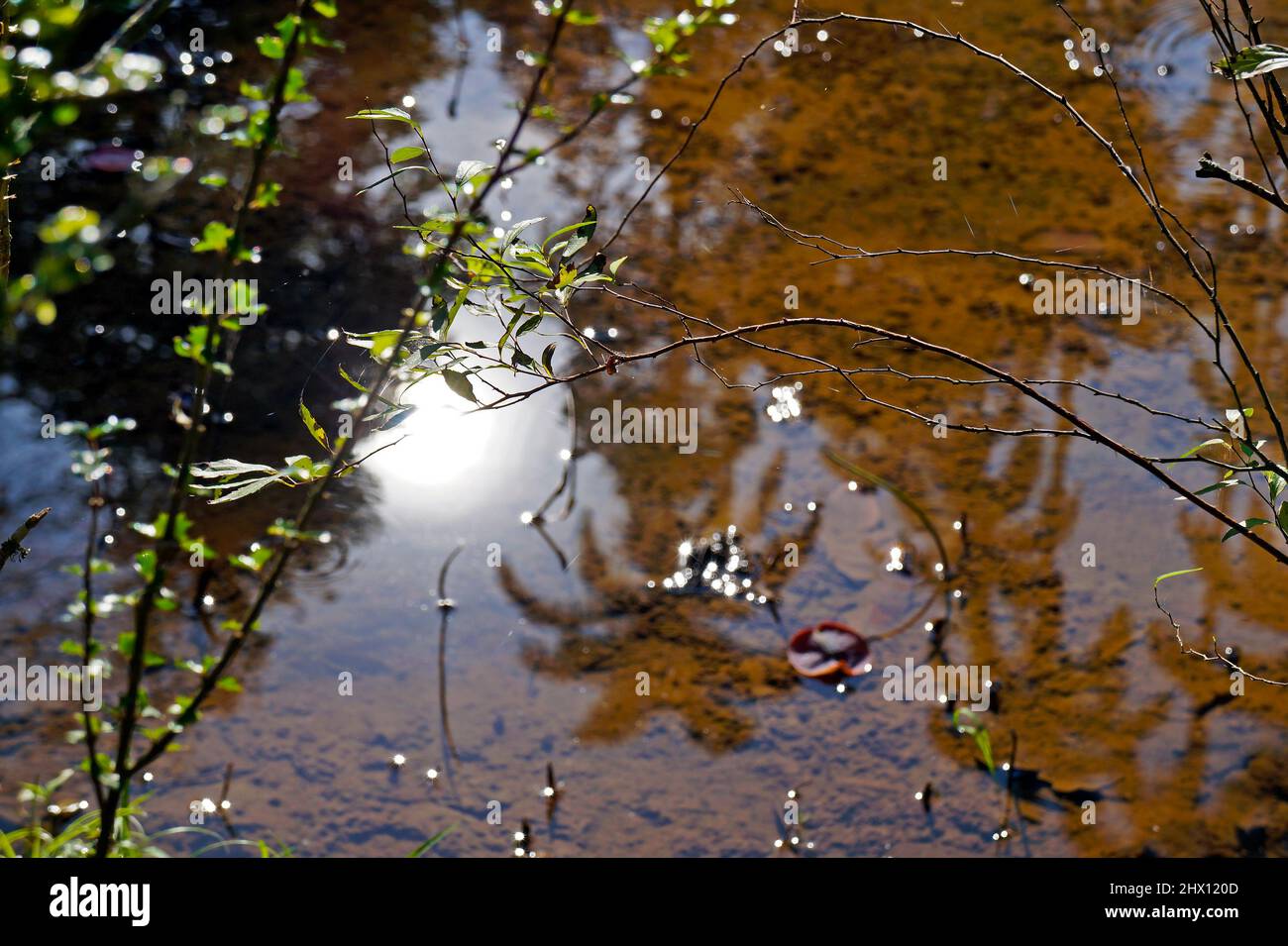 Landscape reflected in lake water, Rio Stock Photo