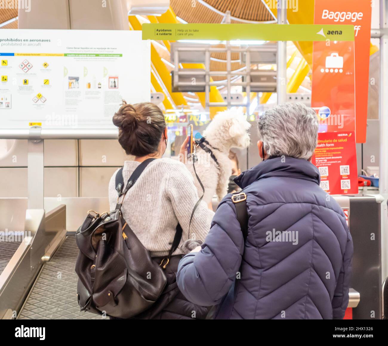 Passenger with a dog checking in at the stand, Madrid Barajas airport, MAD, Spain Stock Photo
