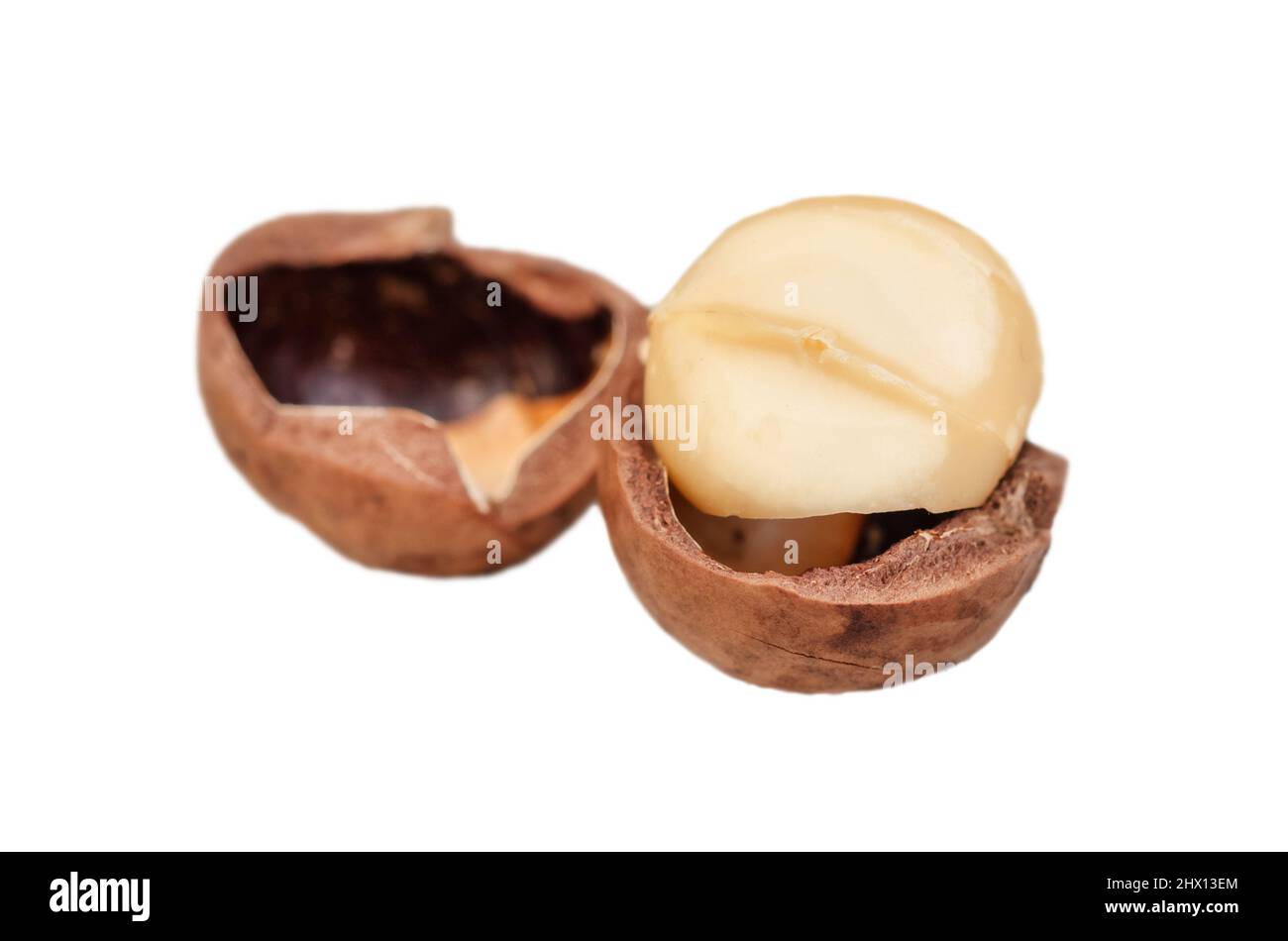 Macadamia nut split isolated on white background Stock Photo
