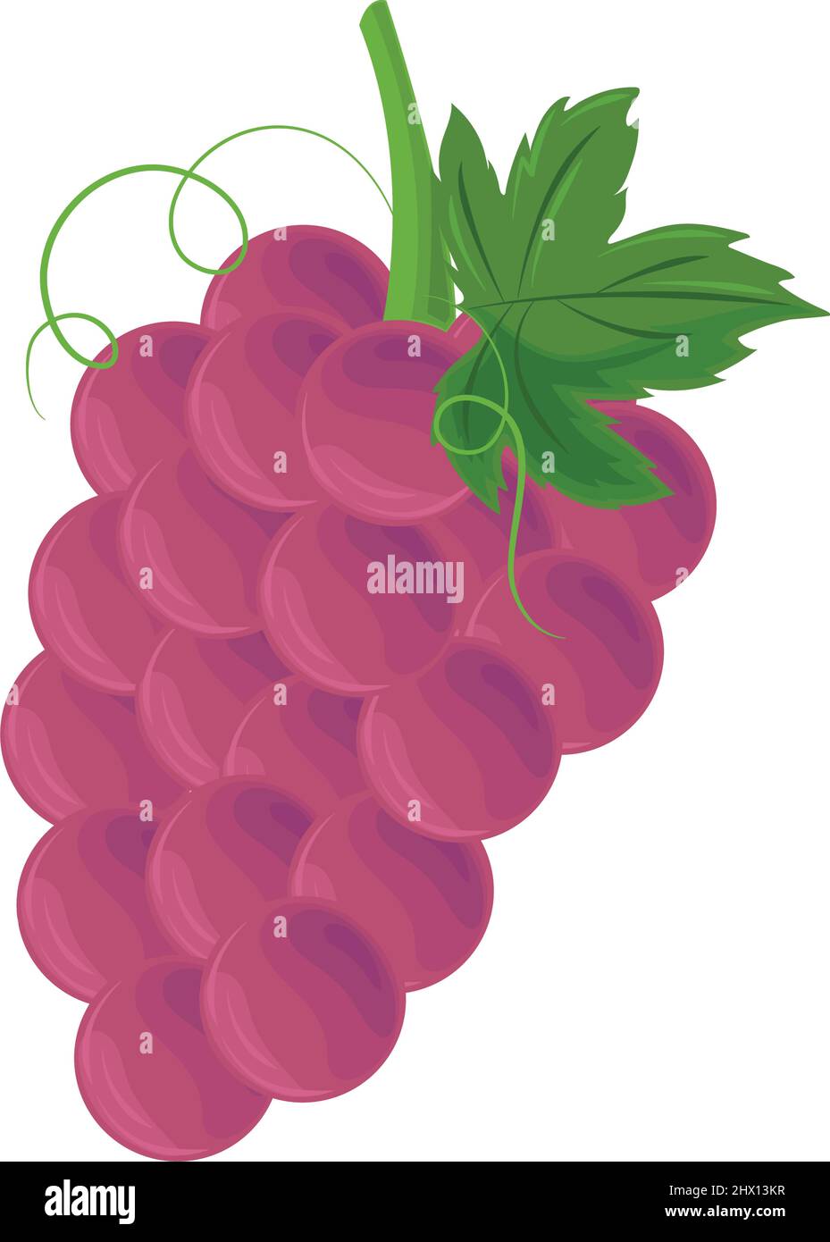grape fruit icon Stock Vector Image & Art - Alamy