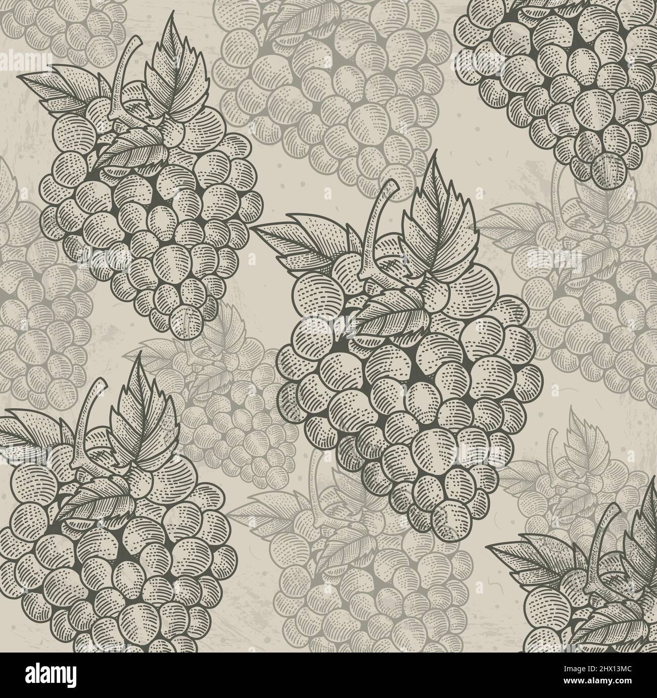 vintage seamless background with grape fruit Stock Vector
