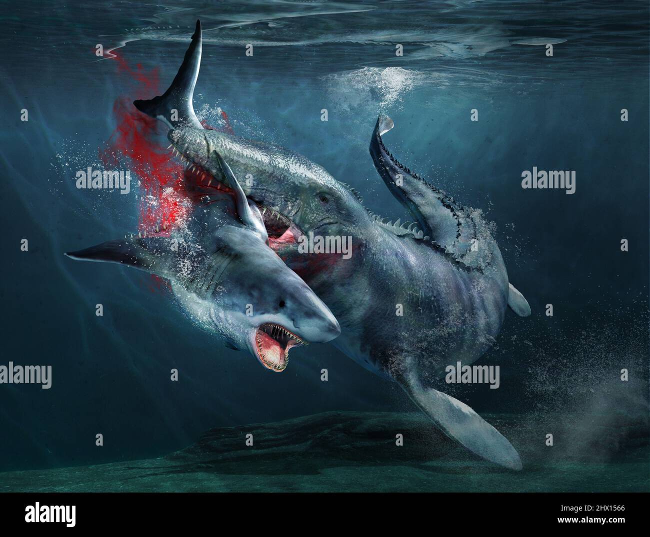 Prognathodon attacking a Megalodon, illustration Stock Photo Alamy