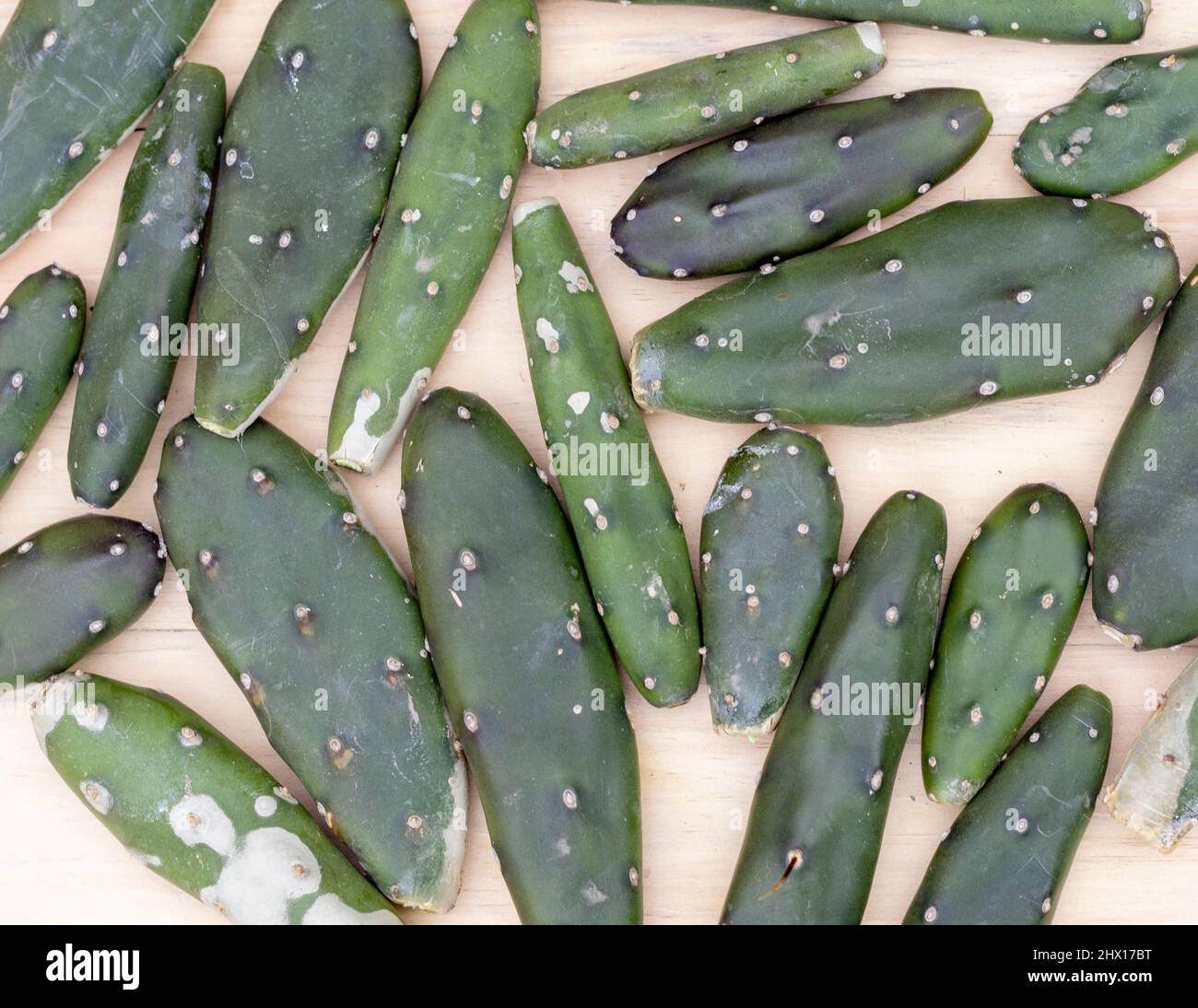 Closeup of opuntia quimilo cactus pads Stock Photo Alamy